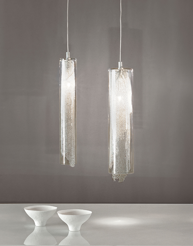 Frame, nature’s imprint.