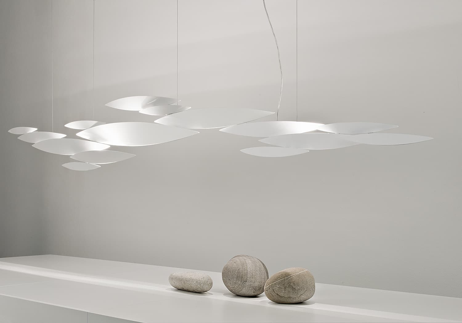 I Lucci Argentati, school of light.