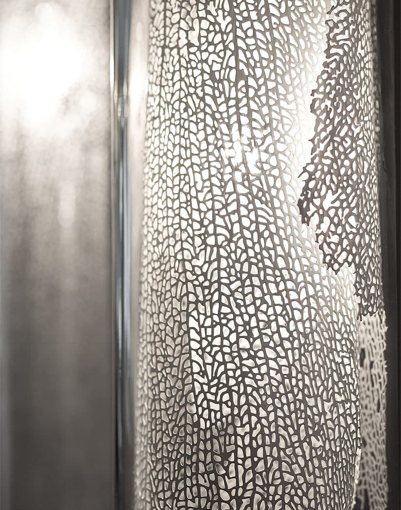 Frame, nature’s imprint.