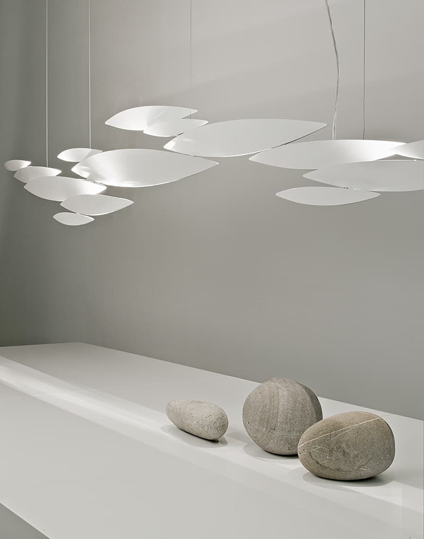 I Lucci Argentati, school of light.