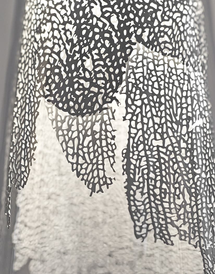 Frame, nature’s imprint.